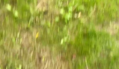 Cheating wife into the woods, he have my load inside him